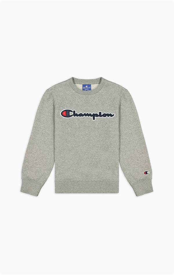 Champion trøje - grå