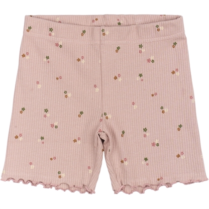 The New Shorts Reta - Adobe Ro