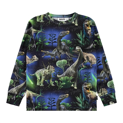 Molo Bluse Rill - Dinorama 
