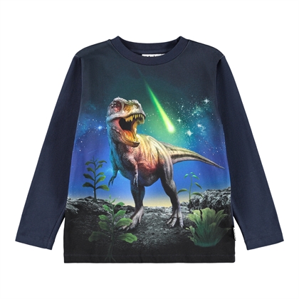 Molo Bluse Reif - Meteor Dino 