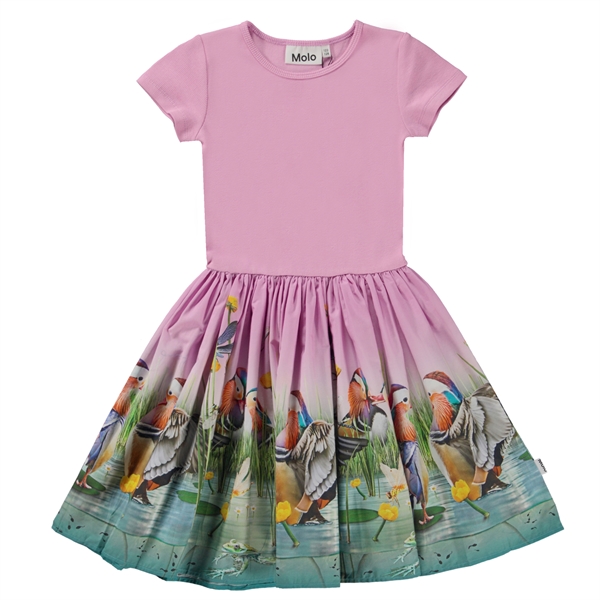 Molo pige kjole "Cissa" - Dashing Ducks 