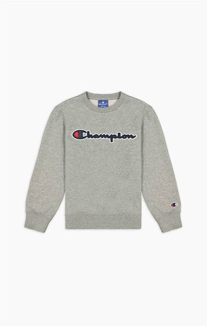 Champion trøje - grå