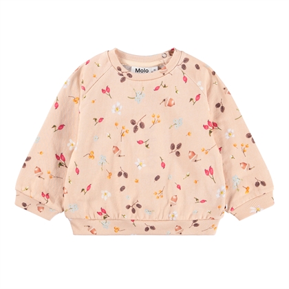Molo Sweatshirt Disc - Foraging Rose 