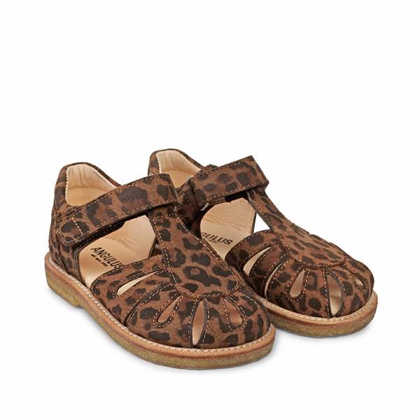 Angulus sandal 5226-101 - Leopard