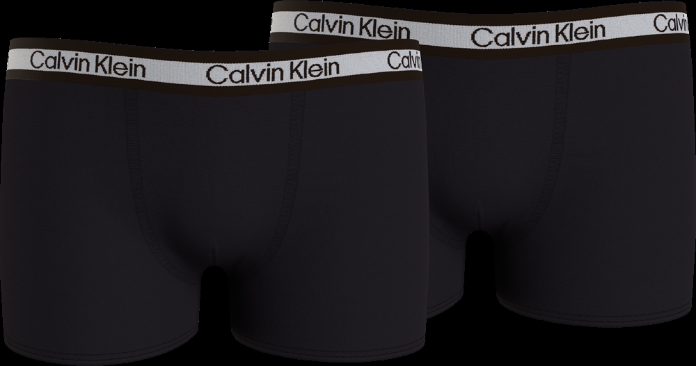 valg Konsekvenser bekymring Køb Calvin Klein underbukser 2-pak - sort - dreng