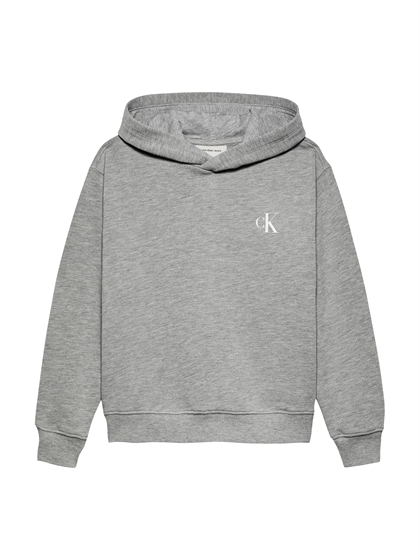 Calvin Klein Hoodie Miami Photo - Grey 