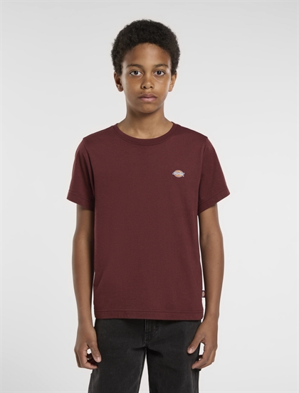 Dickies T-shirt - Andorra 