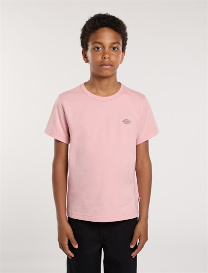 Dickies Logo T-Shirt - Bridal Rose