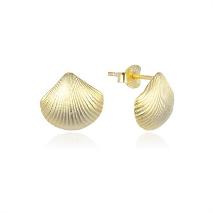 WIOGA Øreringe Wioga - Guld 