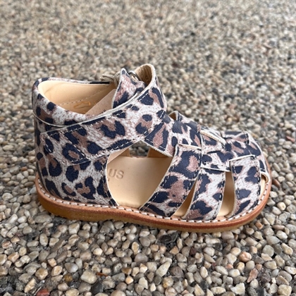 Angulus Begynder Sandal (Smal/Almindelig) - Leopard