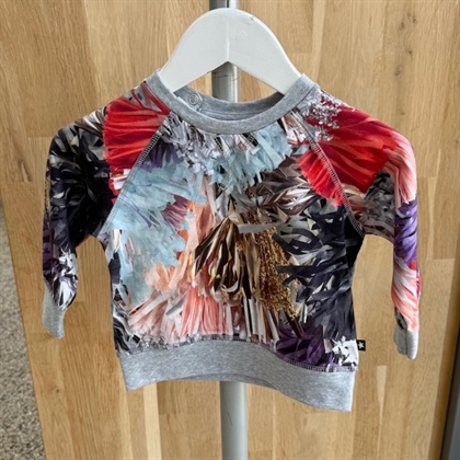 Molo Sweatshirt -  Elsa Celebration