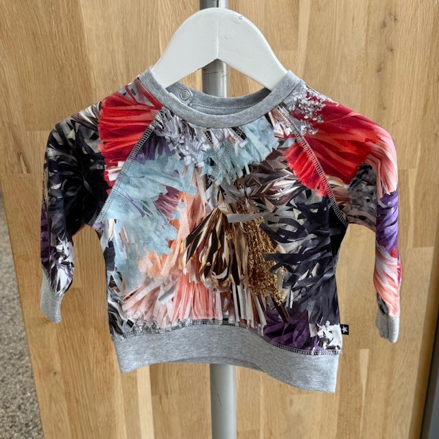 Molo sweatshirt -  Elsa Celebration