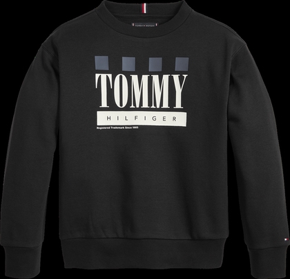Tommy Hilfiger sweatshirt - Board