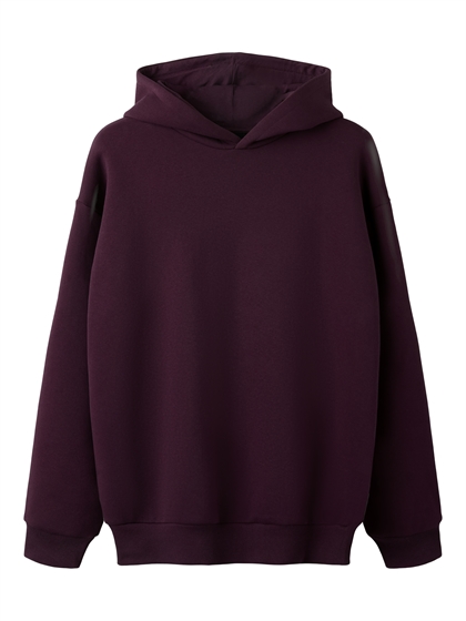 LMTD Loose Hoodie Renar - Fig 
