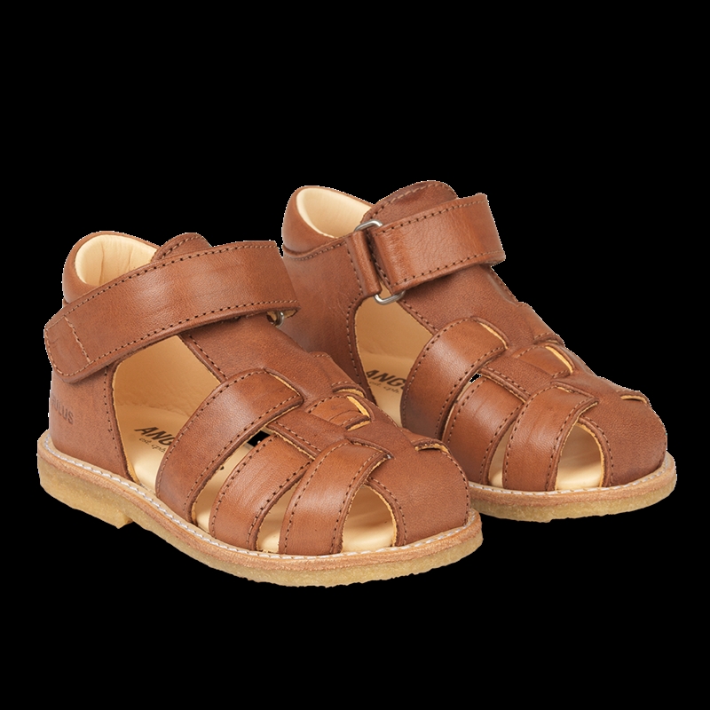 Angulus Begynder Sandal "Smal/Almindelig" - Cognac