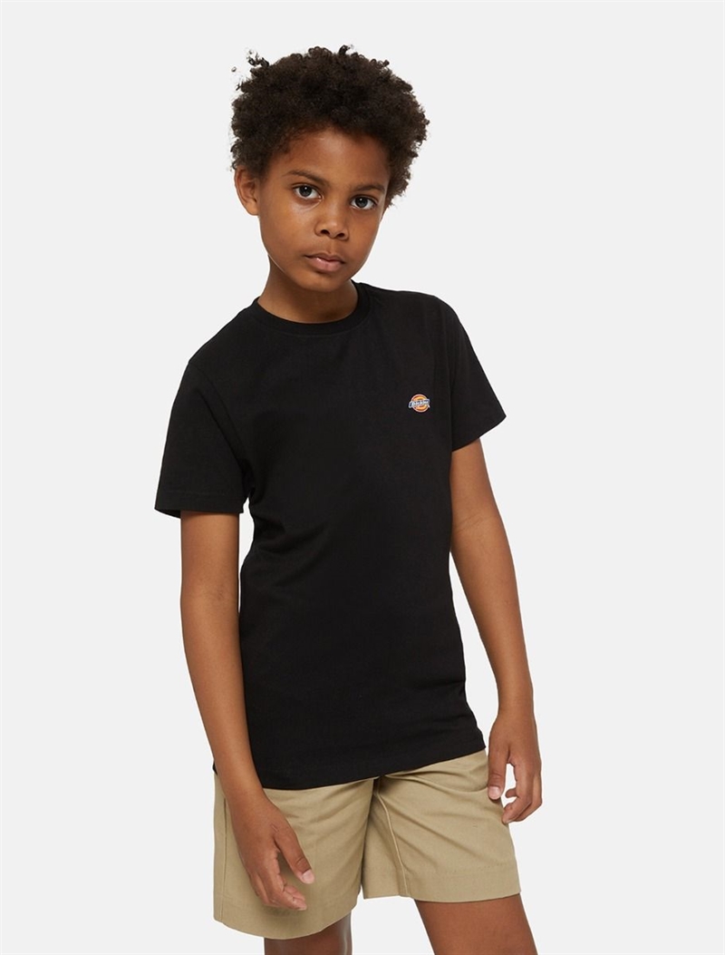 Dickies T-shirt - Black 